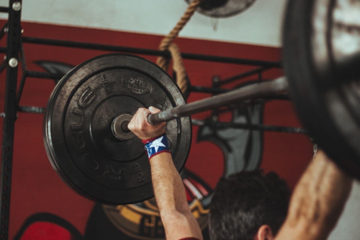 Image illustrant l'article : Créatine monohydrate : le guide complet pour performer